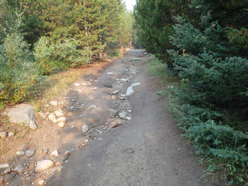 GDMBR: Road damage from last night’s rain storm.